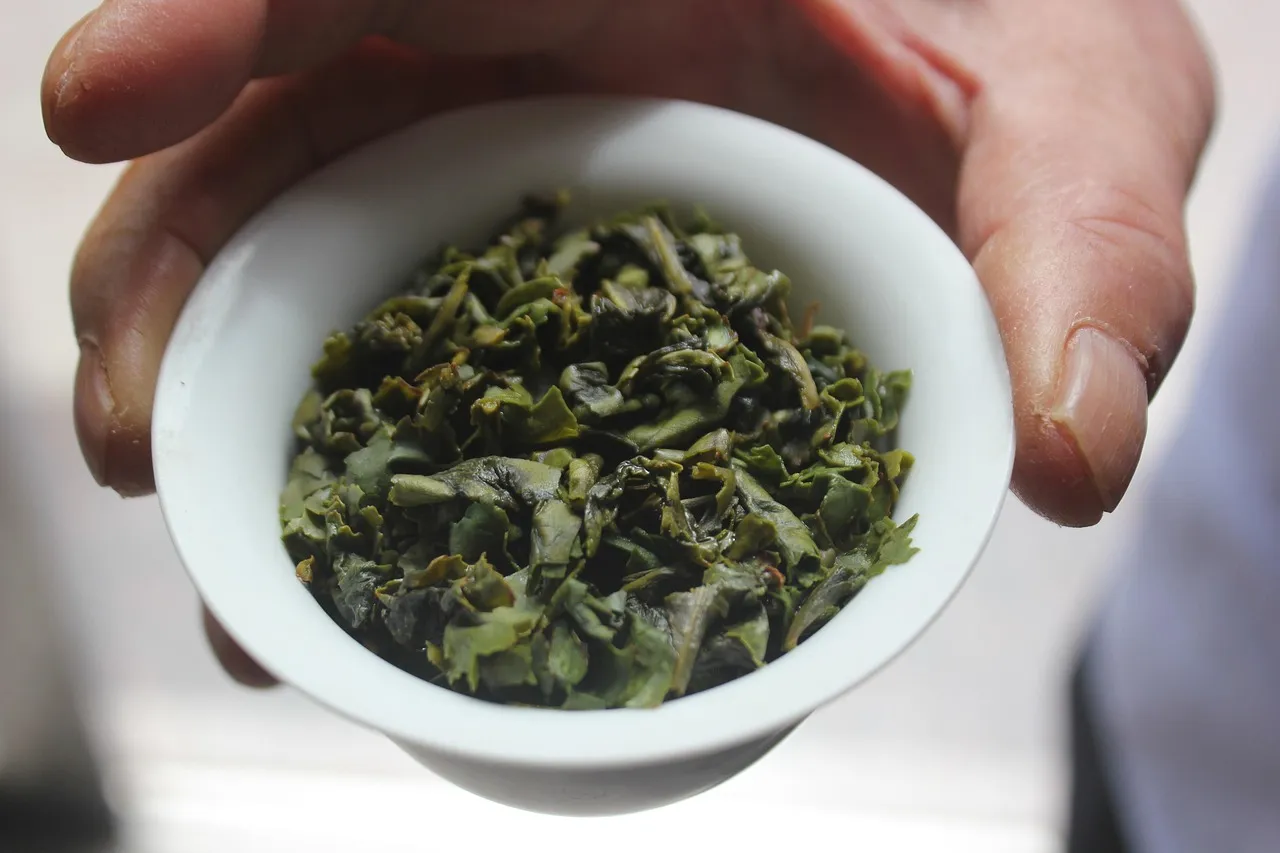 En hand som håller en liten skål med rullad grön Tieguanyin-oolong